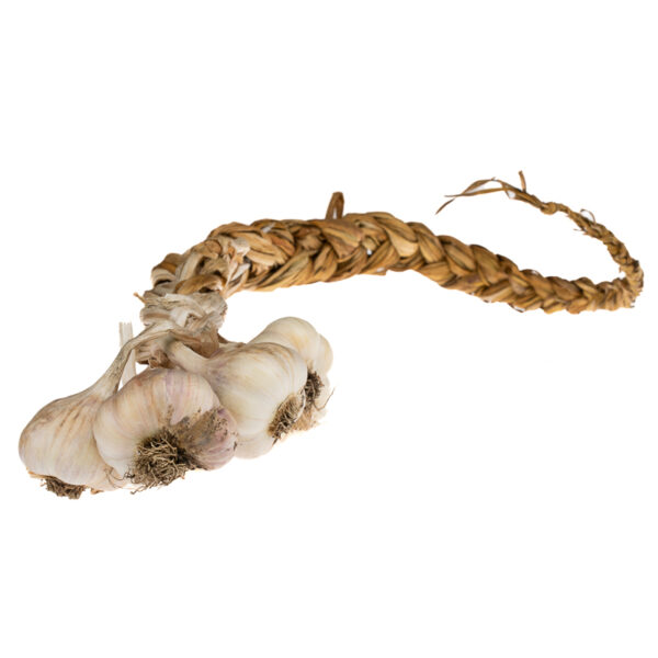 Garlic of the Month CSA! - Image 6