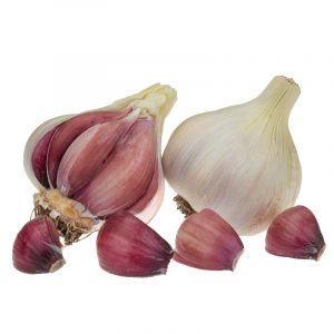 Certified-Organic Seed Garlic
