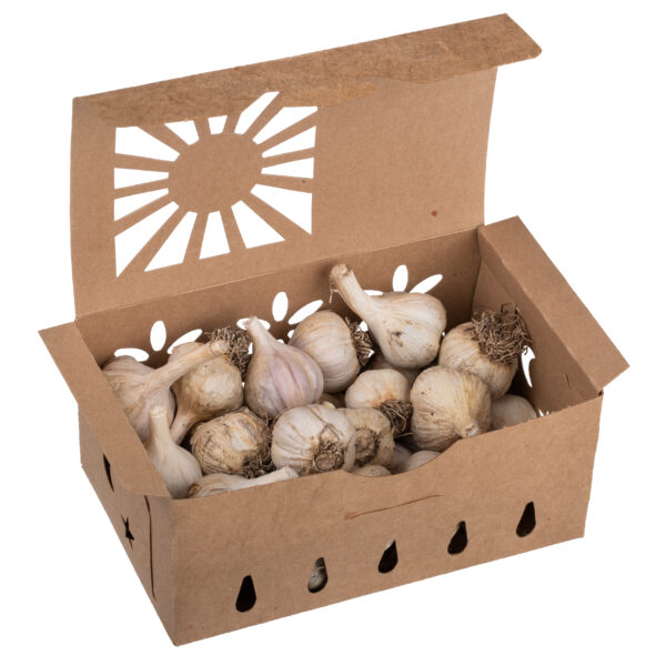 Garlic Sampler Pack (1 lb) - Image 2